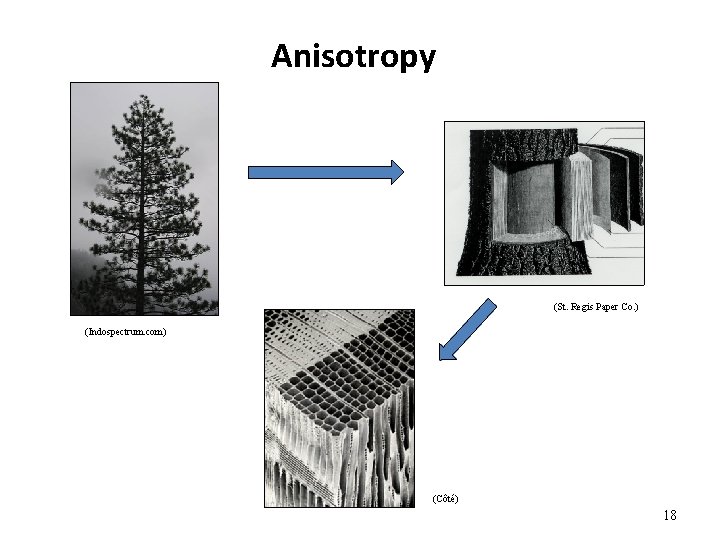 Anisotropy (St. Regis Paper Co. ) (Indospectrum. com) (Côté) 18 