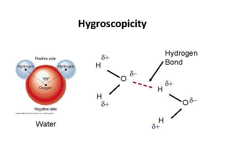 Hygroscopicity H Hydrogen Bond O H Water H O H 