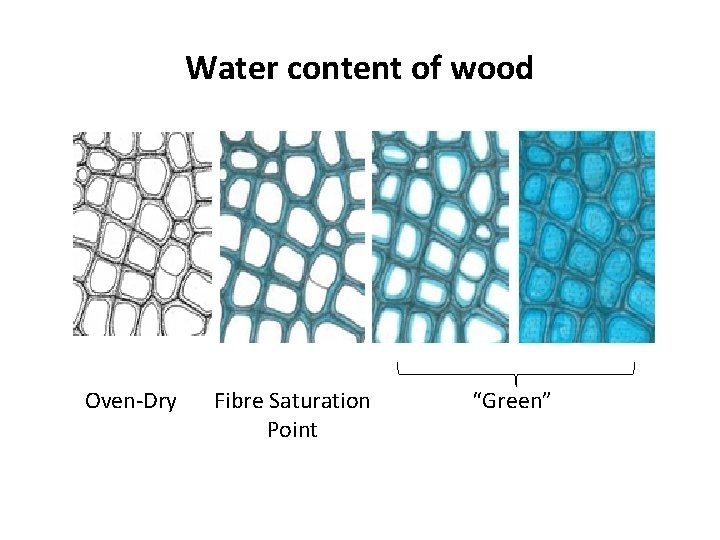 Water content of wood Oven-Dry Fibre Saturation Point “Green” 