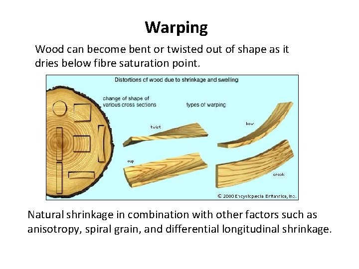 Warping Wood can become bent or twisted out of shape as it dries below