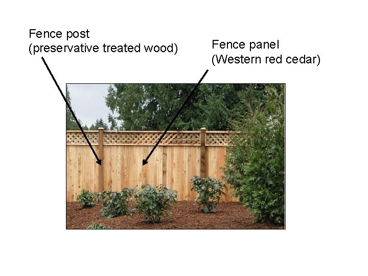 Fence post (preservative treated wood) • • Fence panel (Western red cedar) Oxygen Water