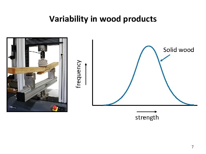 Variability in wood products frequency Solid wood strength 7 