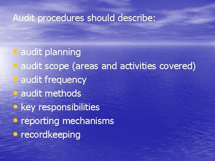 Audit procedures should describe: • audit planning • audit scope (areas and activities covered)