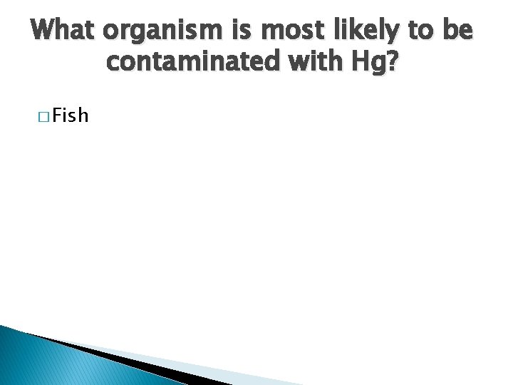What organism is most likely to be contaminated with Hg? � Fish What organism is most likely to be contaminated with Hg? � Fish