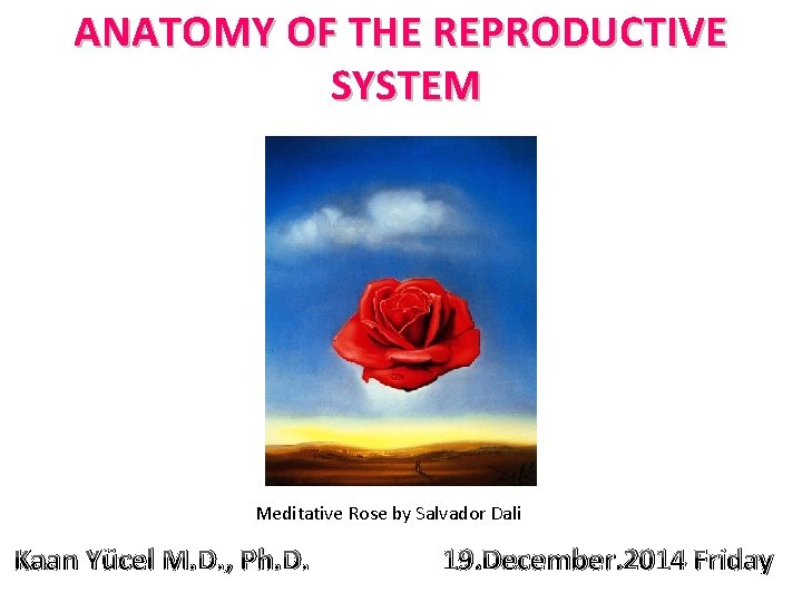 ANATOMY OF THE REPRODUCTIVE SYSTEM Meditative Rose by Salvador Dali Kaan Yücel M. D.