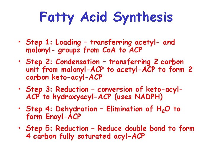 Fatty Acid Synthesis • Step 1: Loading – transferring acetyl- and malonyl- groups from Fatty Acid Synthesis • Step 1: Loading – transferring acetyl- and malonyl- groups from