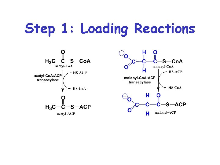 Step 1: Loading Reactions Step 1: Loading Reactions