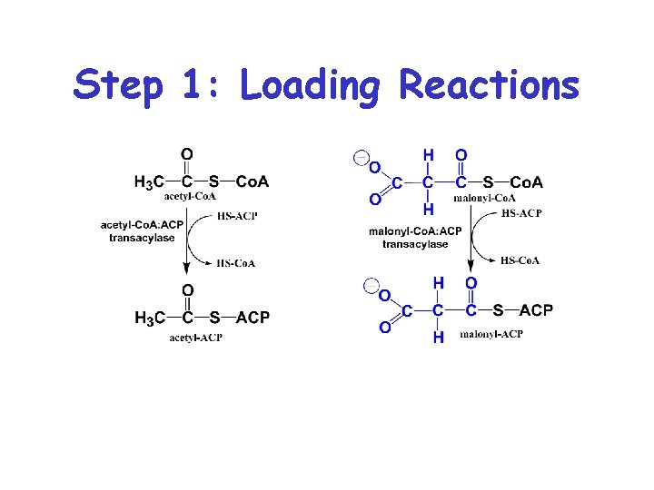Step 1: Loading Reactions 