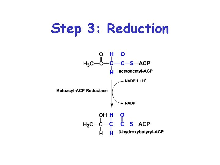 Step 3: Reduction 