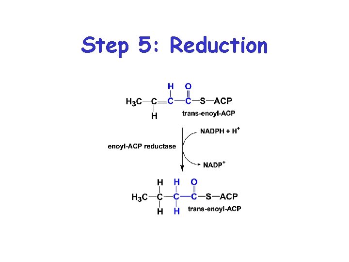 Step 5: Reduction Step 5: Reduction