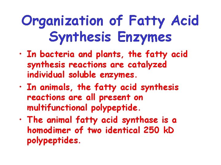 Organization of Fatty Acid Synthesis Enzymes • In bacteria and plants, the fatty acid