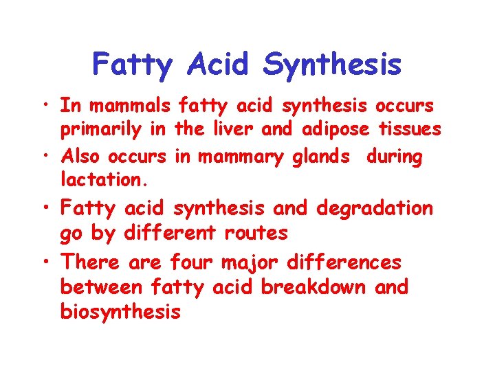 Fatty Acid Synthesis • In mammals fatty acid synthesis occurs primarily in the liver