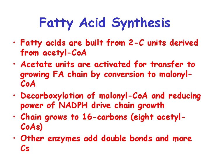 Fatty Acid Synthesis • Fatty acids are built from 2 -C units derived from