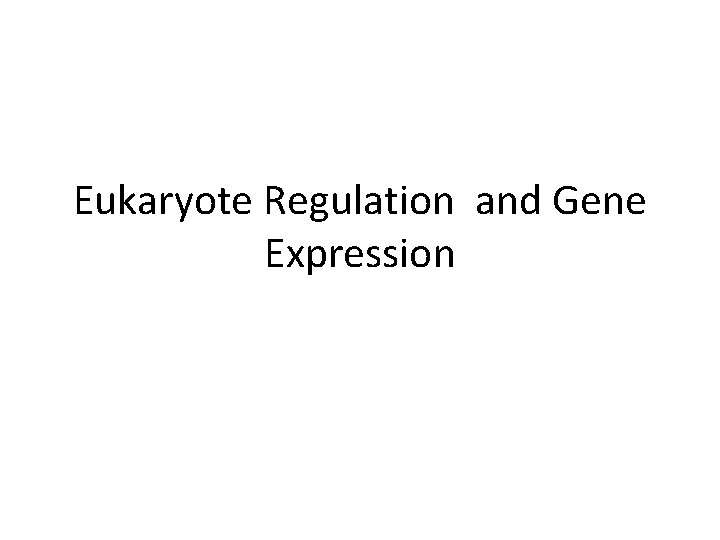 Eukaryote Regulation and Gene Expression 