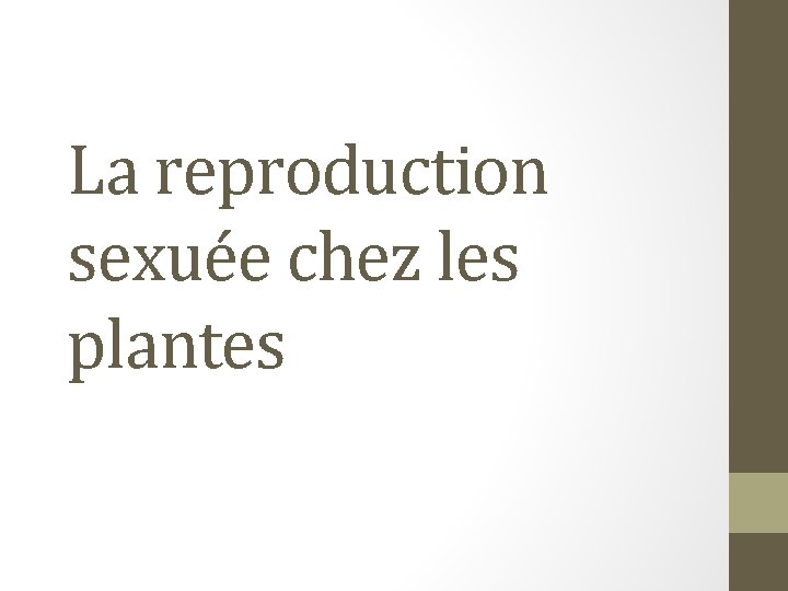 La reproduction sexuée chez les plantes 