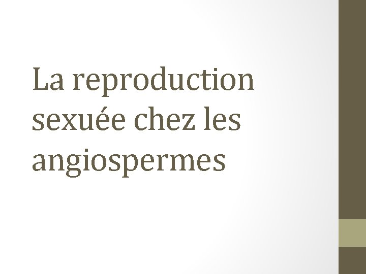 La reproduction sexuée chez les angiospermes 