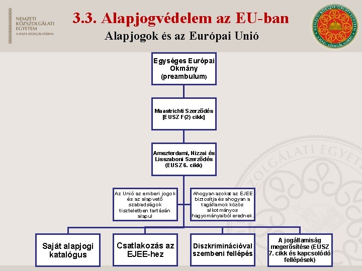 3. 3. Alapjogvédelem az EU-ban Alapjogok és az Európai Unió Egységes Európai Okmány (preambulum)