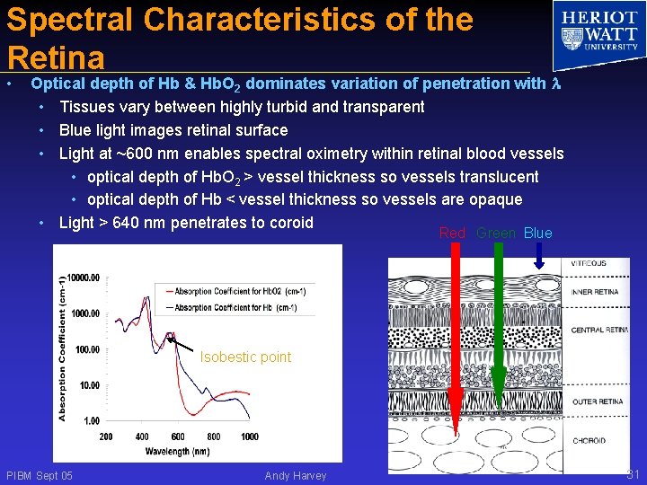 Spectral Characteristics of the Retina • Optical depth of Hb & Hb. O 2