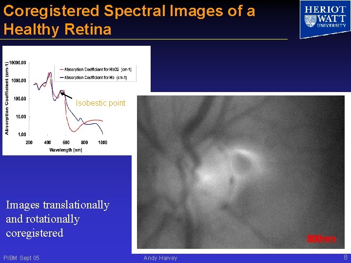 Coregistered Spectral Images of a Healthy Retina Isobestic point Images translationally and rotationally coregistered