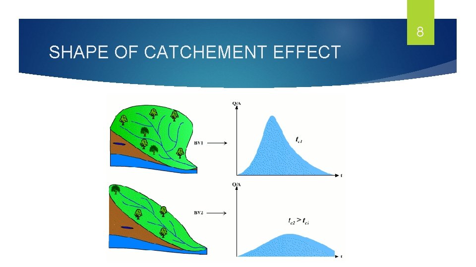 8 SHAPE OF CATCHEMENT EFFECT 