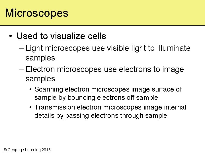 Microscopes • Used to visualize cells – Light microscopes use visible light to illuminate