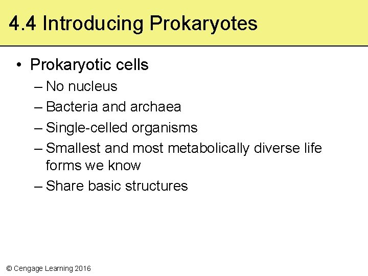 4. 4 Introducing Prokaryotes • Prokaryotic cells – No nucleus – Bacteria and archaea