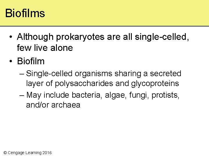 Biofilms • Although prokaryotes are all single celled, few live alone • Biofilm –