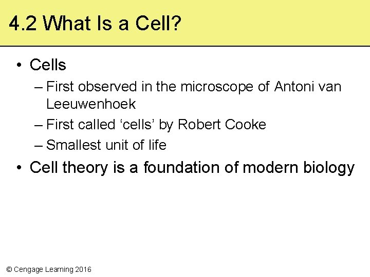4. 2 What Is a Cell? • Cells – First observed in the microscope