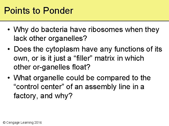 Points to Ponder • Why do bacteria have ribosomes when they lack other organelles?