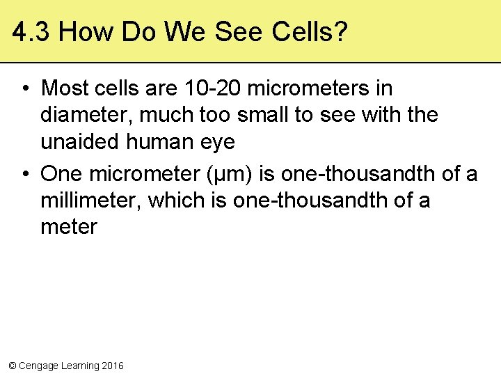 4. 3 How Do We See Cells? • Most cells are 10 20 micrometers
