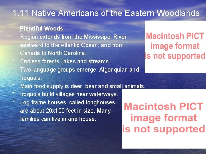 1. 11 Native Americans of the Eastern Woodlands * * * Plentiful Woods Region