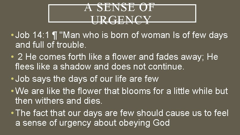 A SENSE OF URGENCY • Job 14: 1 ¶ "Man who is born of