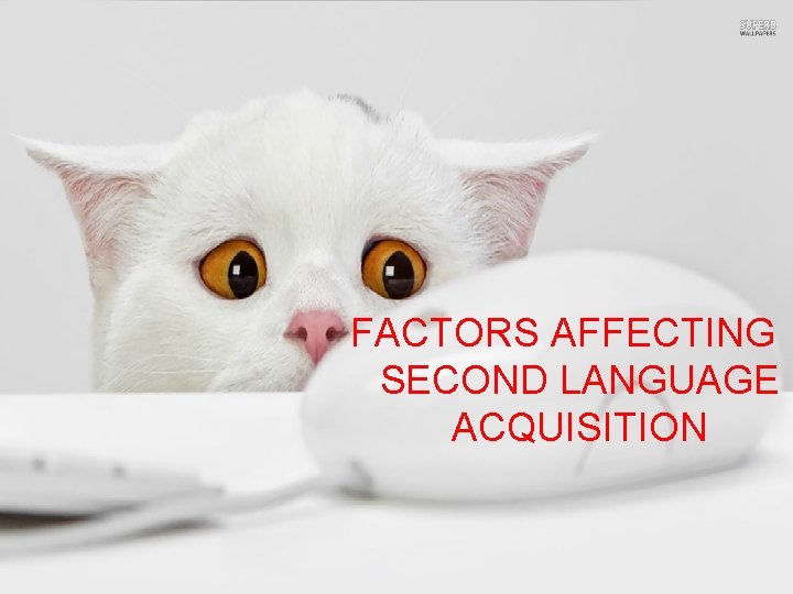 FACTORS AFFECTING SECOND LANGUAGE ACQUISITION FACTORS AFFECTING SECOND LANGUAGE ACQUISITION