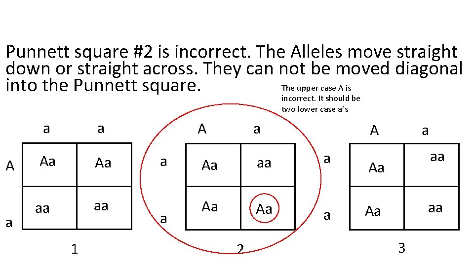 Punnett square #2 is incorrect. The Alleles move straight down or straight across. They