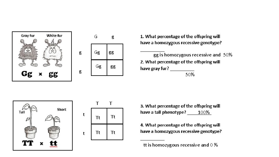 g G g Gg g gg is homozygous recessive and 50% gg 50% T