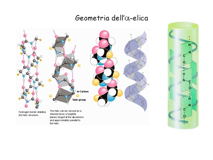 Geometria dell’ -elica 