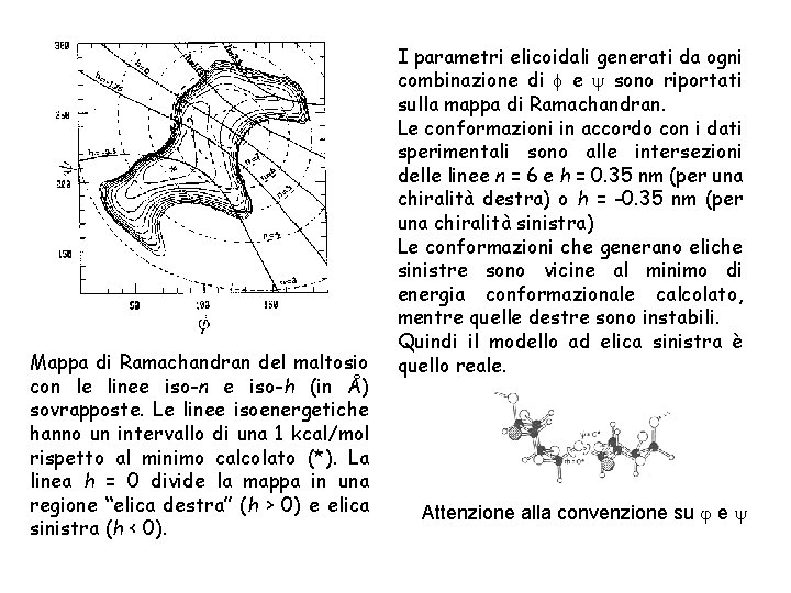 Mappa di Ramachandran del maltosio con le linee iso-n e iso-h (in Å) sovrapposte.