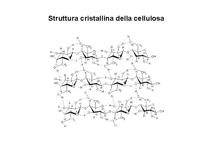 Struttura cristallina della cellulosa 