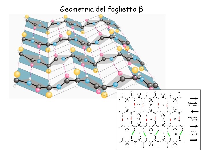 Geometria del foglietto 