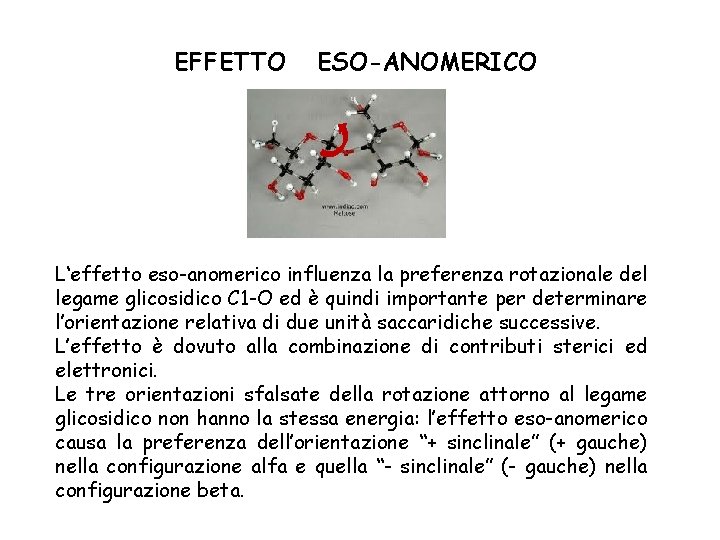 EFFETTO ESO-ANOMERICO L‘effetto eso-anomerico influenza la preferenza rotazionale del legame glicosidico C 1 -O