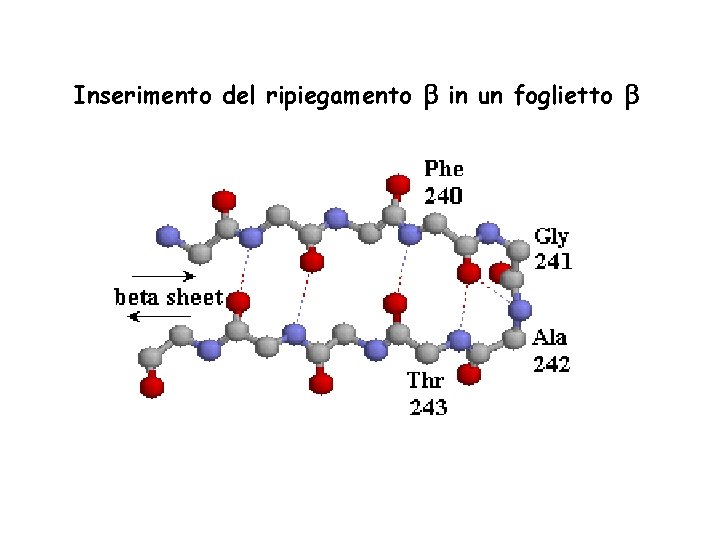 Inserimento del ripiegamento in un foglietto 