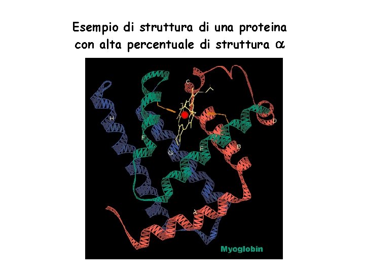 Esempio di struttura di una proteina con alta percentuale di struttura 