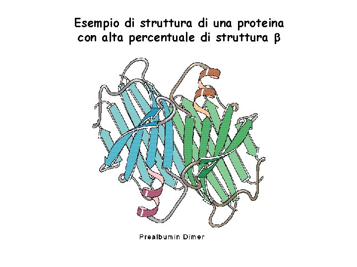 Esempio di struttura di una proteina con alta percentuale di struttura 