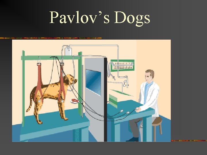 Pavlov’s Dogs 