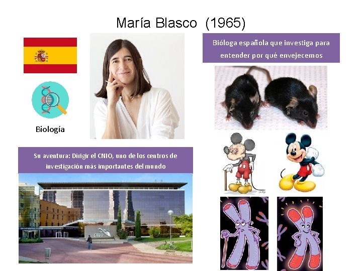 María Blasco (1965) Bióloga española que investiga para entender por qué envejecemos Biología Su