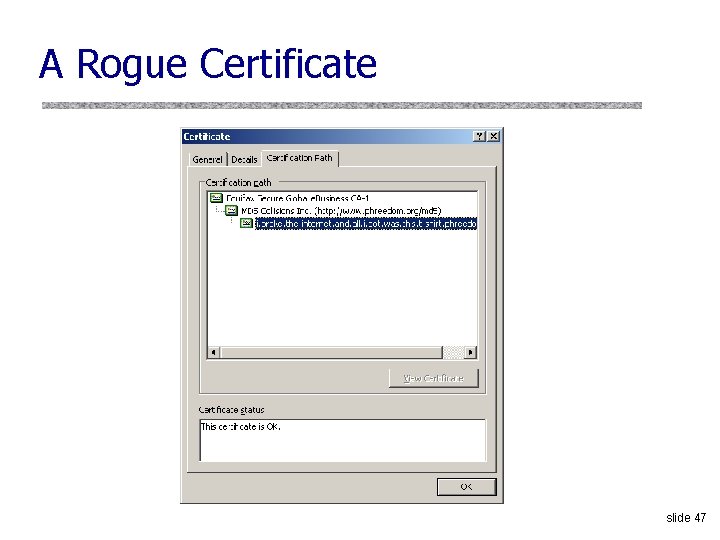 A Rogue Certificate slide 47 