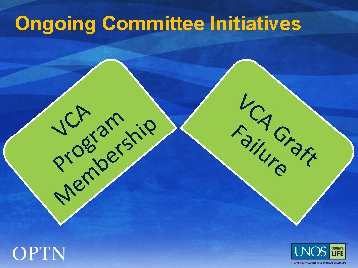 Ongoing Committee Initiatives A C m V ra hip g s r o e