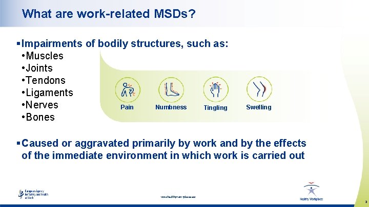 What are work-related MSDs? § Impairments of bodily structures, such as: • Muscles •