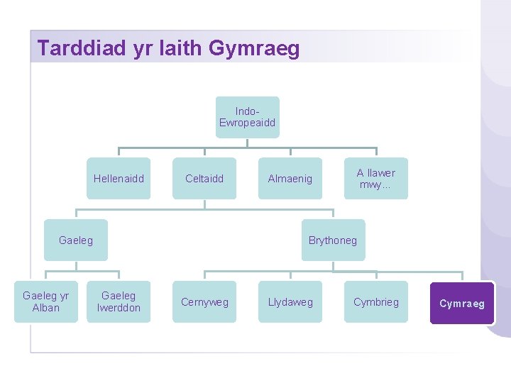 Tarddiad yr Iaith Gymraeg Indo. Ewropeaidd Hellenaidd Celtaidd Gaeleg yr Alban Almaenig A llawer