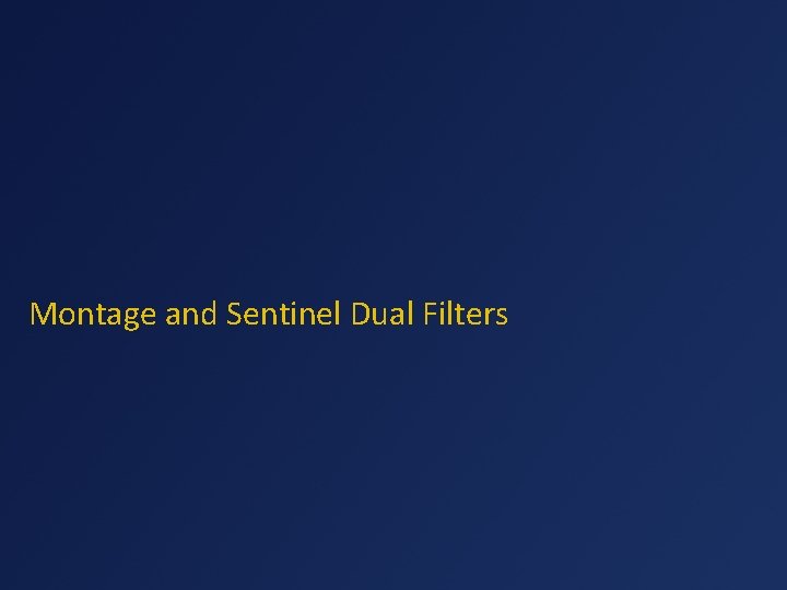 Montage and Sentinel Dual Filters 